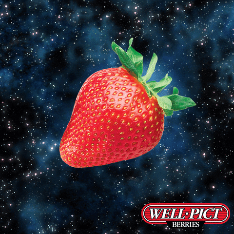 Well Pict Berries GIF