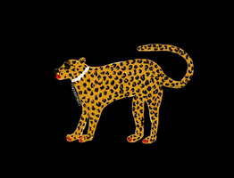 officialtheebouffants cat beauty glam cheetah GIF