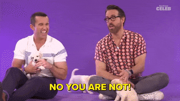 No You Are Not Ryan Reynolds GIF by BuzzFeed