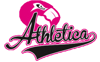 F45 Stoney Creek Sticker