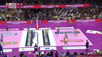 Imoco Volley Conegliano Wow GIF by Volleyball World