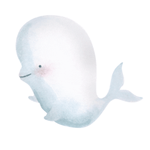 marine mammal beluga whale gif