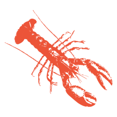 Summer Lobster Sticker by Katie Kime