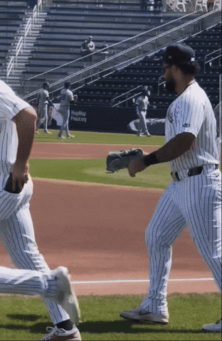 Yankees Glove GIF
