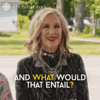 Tell Me More Schitts Creek GIF by CBC
