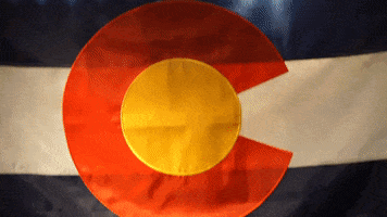 Denver Nuggets Colorado GIF by UCHealth