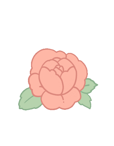 Pink Sticker For Ios Android Giphy Pink Sticker For Ios Android Giphy