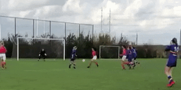 sv DSO GIF