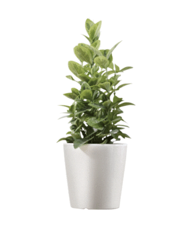 bettermonday_coffee Sticker