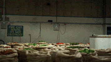 Spices GIF