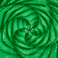 kiwilimonhelado cool kiwi helado yogurt GIF