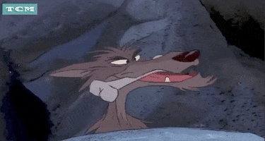 The Sword In The Stone Animation GIF by Turner Classic Movies