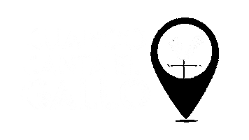 Radio Carolina Sticker