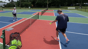 Pickleball GIF