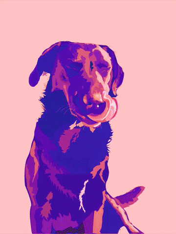 Dog GIF