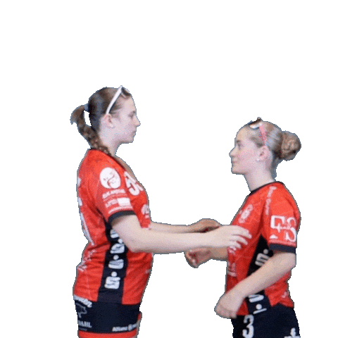 Handball Sticker by Hollenstedt-Handball