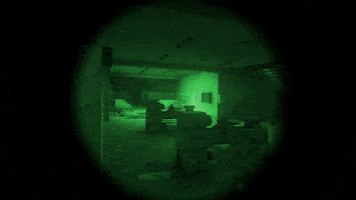 Stalker GIF by GSC Game World