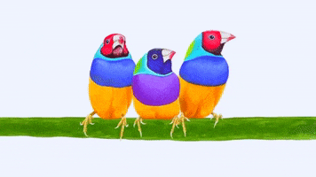 ViewSonic GIF