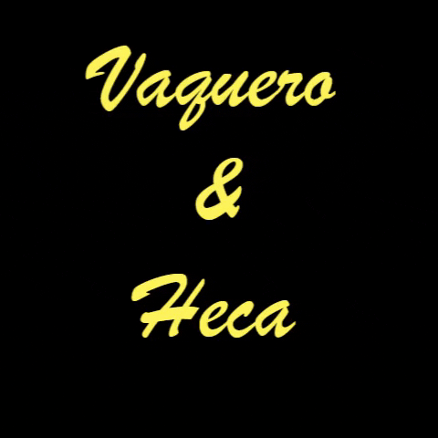Vaquero Heca GIF - Find & Share on GIPHY