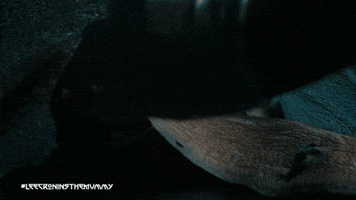 Hand Nails GIF by Warner Bros. Pictures