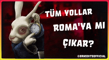 Rabbit Roma GIF