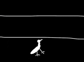 Cross The Road Bird GIF by Barbara Pozzi