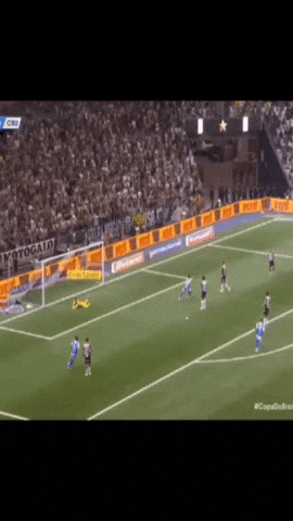 Cruzeiro Copadobrasil GIF