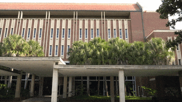 Uf Universityofflorida GIF by George A. Smathers Libraries at the University of Florida