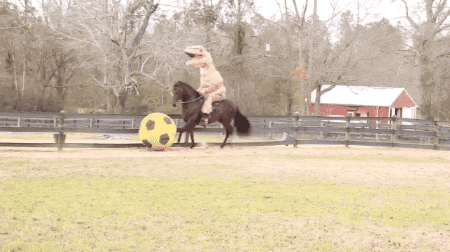 t-rex horse GIF