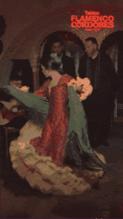 Flamenco GIF by TablaoCordobes
