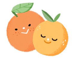 Orange Citrus Sticker