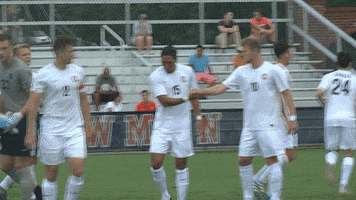 sam jenkins cnms18 GIF by Carson-Newman Athletics