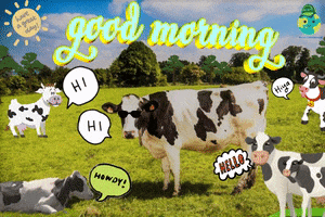 Morning Love GIF by The SOL Foundation