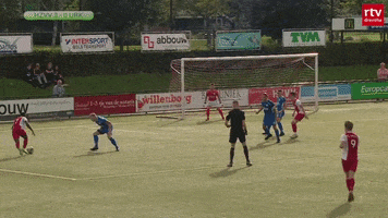 HZVV GIF