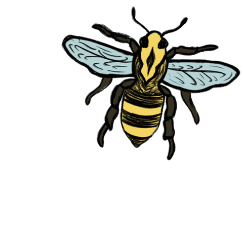 Bridgerton Bee Sticker by Shondaland