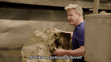 Yell Gordon Ramsay GIF by Gordon Ramsay's 24 Hours to Hell and Back