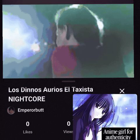 Visual Novel Niche GIF