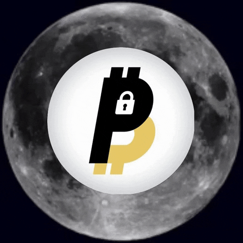 Crypto Moon GIF by BitPal