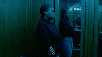 Seagram's Gin GIF
