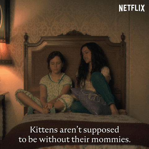 Kittens Need Their Mommies GIFs - Get the best GIF on GIPHY