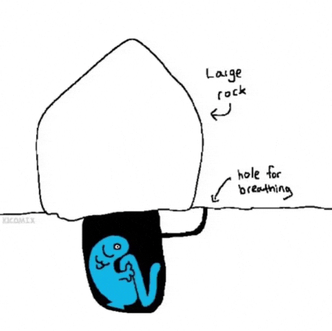 Blue Fish GIF