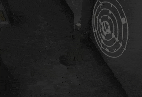 200.gif?cid=fc005b085b2812a5506fe71e94190c3d2726fb183924ce7e&rid=200.gif&ct=g