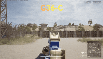 Animated GIF