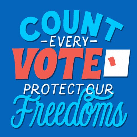 Count every vote - protect our freedoms