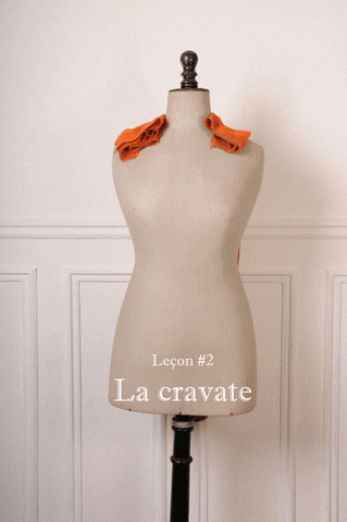 princesse-moghole  GIF