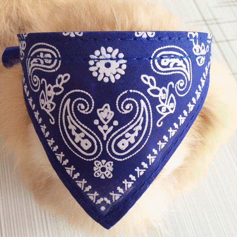 HRS dog bandanna free free dog bandanna GIF