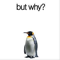 Penguin GIF