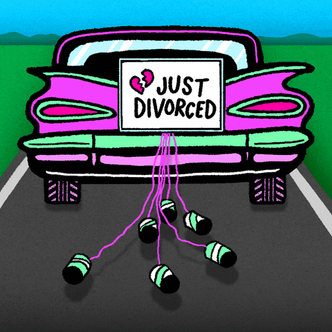 divorce meaning, definitions, synonyms