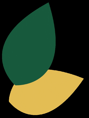 TUDO RURAL AGRONEGOCIOS DO BRASIL LTDA GIF