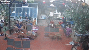 Man Drinking Coffee Dodges Falling Tree In Restaurant GIF by ViralHog